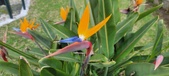 Enlarge photo 158