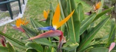 Enlarge photo 157