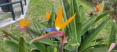 Enlarge photo 156
