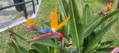 Enlarge photo 153