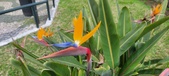 Enlarge photo 152