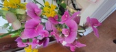 Enlarge photo 86