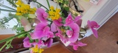 Enlarge photo 85