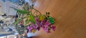 Enlarge photo 81