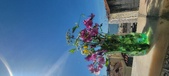 Enlarge photo 78