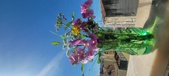 Enlarge photo 77