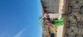 Enlarge photo 75