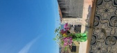 Enlarge photo 74