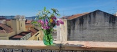 Enlarge photo 72