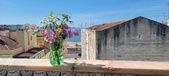 Enlarge photo 71