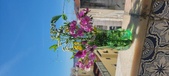 Enlarge photo 69