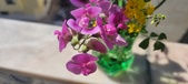 Enlarge photo 64