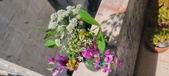 Enlarge photo 61