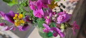 Enlarge photo 62