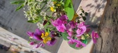 Enlarge photo 59