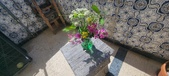 Enlarge photo 56