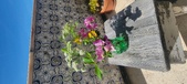 Enlarge photo 55