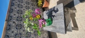 Enlarge photo 53