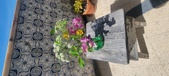 Enlarge photo 52