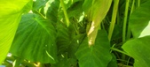 Enlarge photo 38