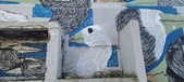 Enlarge photo 68