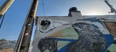 Enlarge photo 63