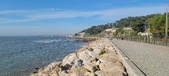 Enlarge photo 56