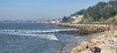 Enlarge photo 52