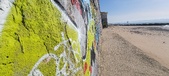 Enlarge photo 38