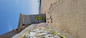 Enlarge photo 35