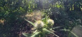 Enlarge photo 28