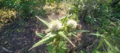 Enlarge photo 31