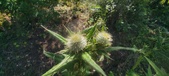 Enlarge photo 33