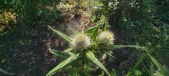 Enlarge photo 35