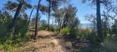 Enlarge photo 36