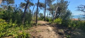 Enlarge photo 37