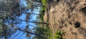 Enlarge photo 38