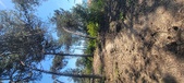 Enlarge photo 40