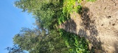 Enlarge photo 41