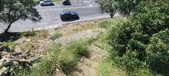 Enlarge photo 42