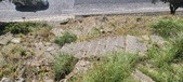 Enlarge photo 44