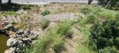 Enlarge photo 45