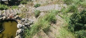 Enlarge photo 46