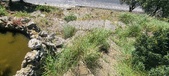 Enlarge photo 48