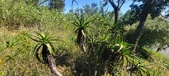 Enlarge photo 49