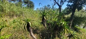 Enlarge photo 50