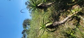 Enlarge photo 51