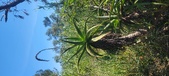 Enlarge photo 52
