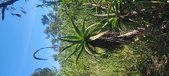 Enlarge photo 53