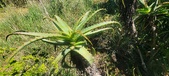 Enlarge photo 54